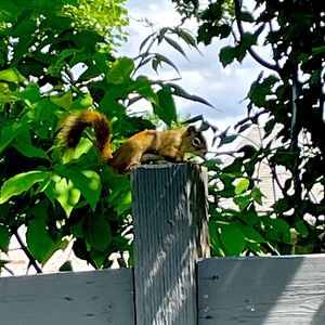 Meet your Posher, Madyson